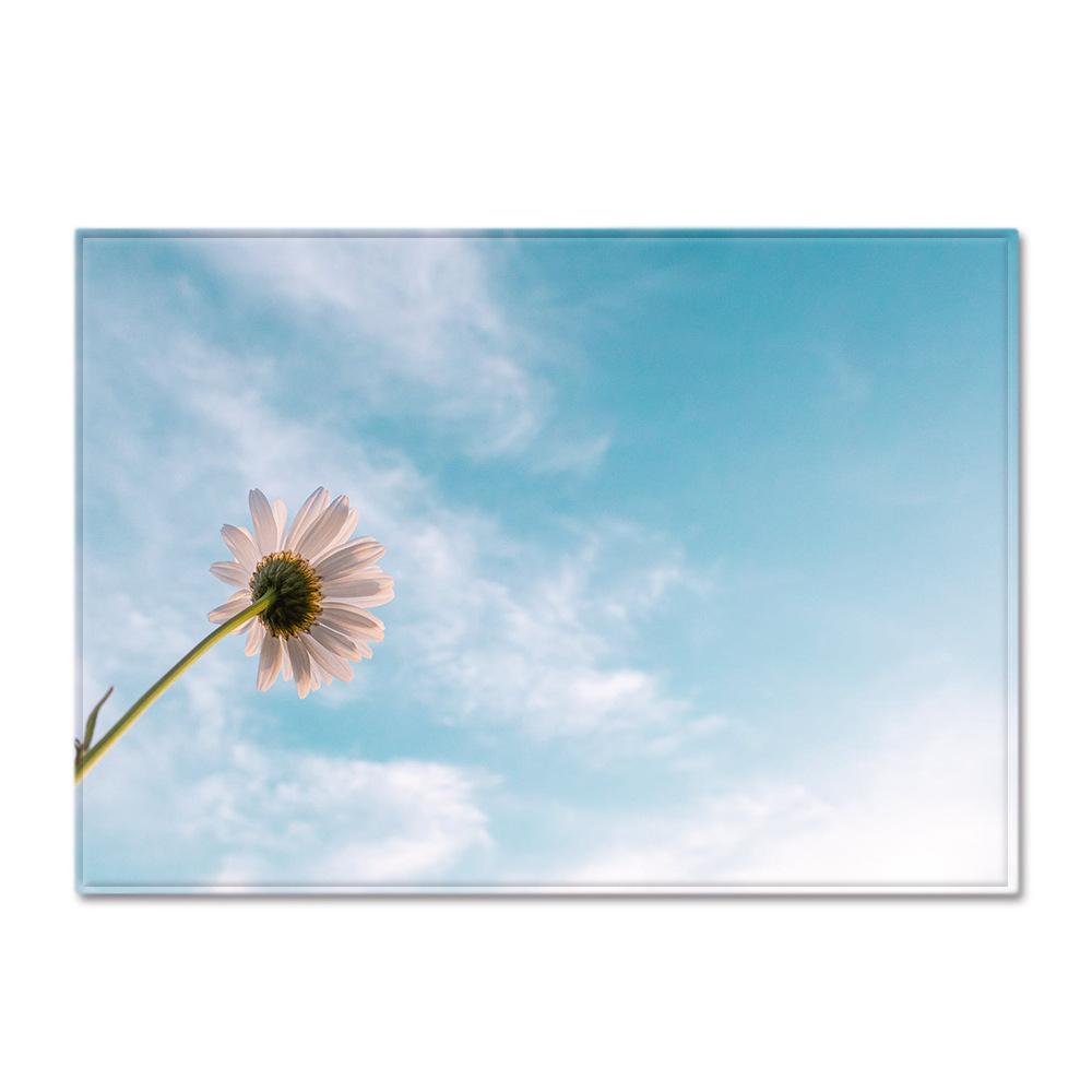 Scenic Carpet Feather Wind Bedroom Floor Mat