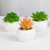 Fake Plants Mini Realistic Wide Application High Quality Natural Vivid Multi-style Artificial Succulents Bonsai for Living Room
