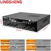 Lingsheng Bluetooth Мощный Профессиональный Вещательный Усилитель Штепсель CN (адаптер в комплекте)