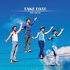 CD TAKE THAT  Circus 1787444 POLYDOR 2008 Великобритания Рок Б/у
