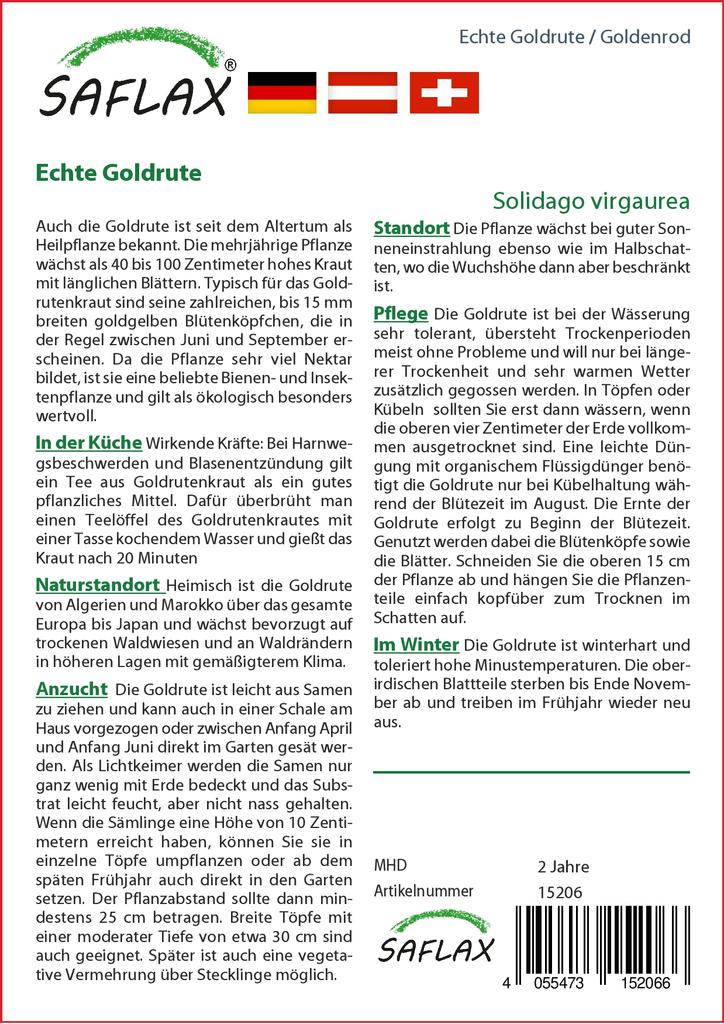 SAFLAX Garden in the Bag - Золотарник - 100 семян - С субстратом в подходящем пакете-стойке - Solidago virgaurea