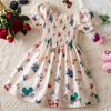 Girls Princess Dress Butterfly Print Dress Children's Casual Holiday A-line Skirt