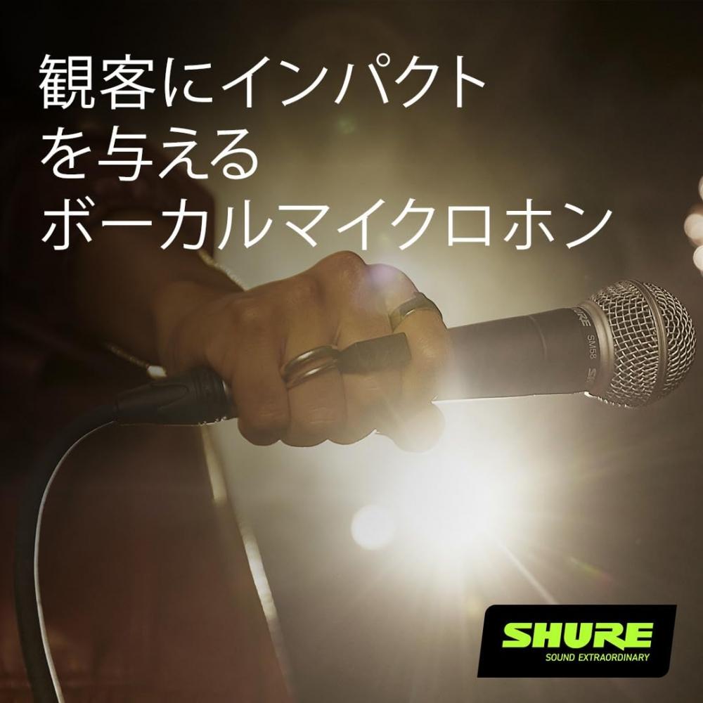 Shure Dynamic Microphone SM58S: with ONOFF Switch, No Screws for Microphone Stand, Unidirectional Cardioid XLR Wired Vocal, Singing, Live Recording, D