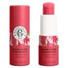 Dudoqlar uchun boʻyanish – Lip Balms
