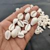 Natural Healing White Cowrie Shell, Sea Shell For Jewelry Making Use Shell, Polished Cowrie Shell, White Sea Shell Lot.