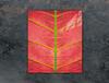GLASS CUTTING BOARD 45x52 Leaf