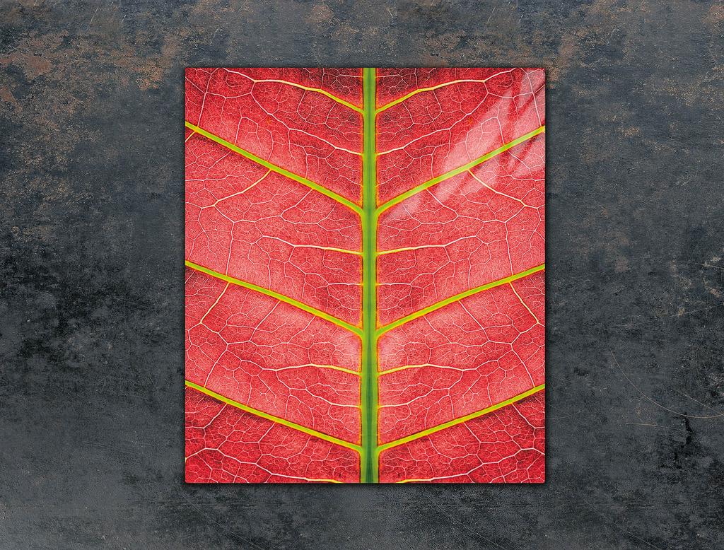 GLASS CUTTING BOARD 45x52 Leaf