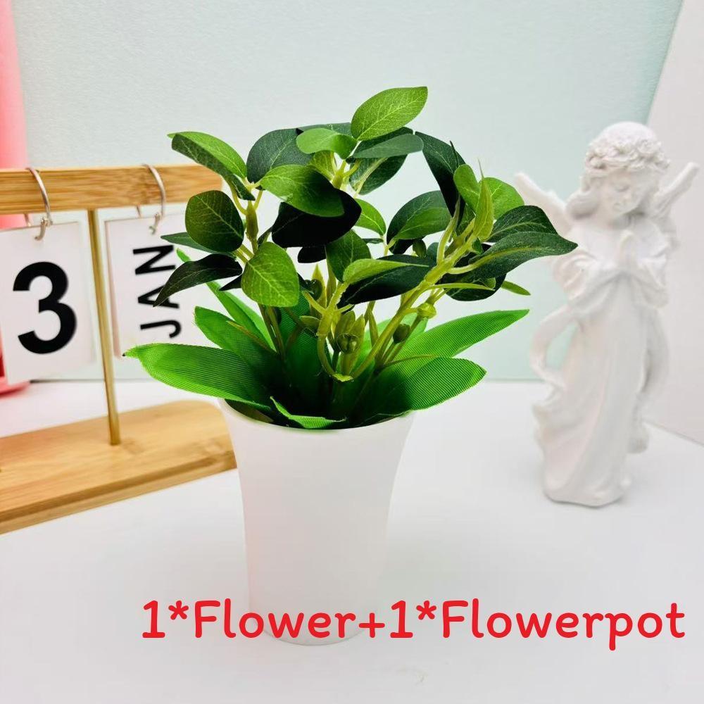 Мимоза Стыдливая Шеффлера Восьмилистная Зеленое Растение для Домашнего Настольного Декора