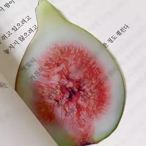 1 шт. Милая креативная дизайнерская закладка, акриловая прозрачная, серия фруктов, книжная вкладка, закладка INS Simplicity, студенческая канцелярия, подарок