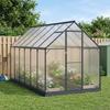 Garden Greenhouse with Door Anthracite 183.5 x 363.5 x 207 cm