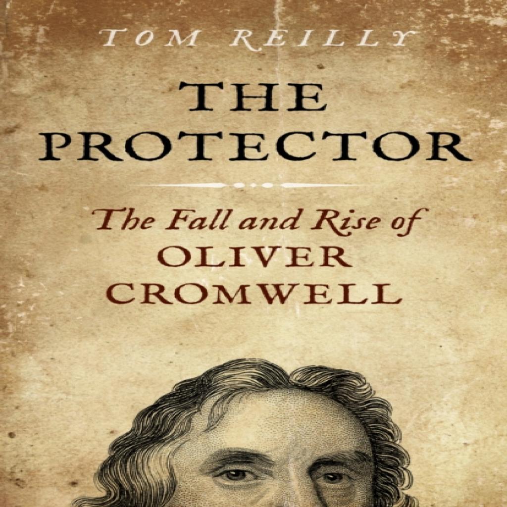 Protector The by Tom Reilly Paperback Book 9781785351990