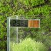 Turtle Fish Tank Water Tank Thermometer Temperature Control Aquarium Thermometer Pet Supplies