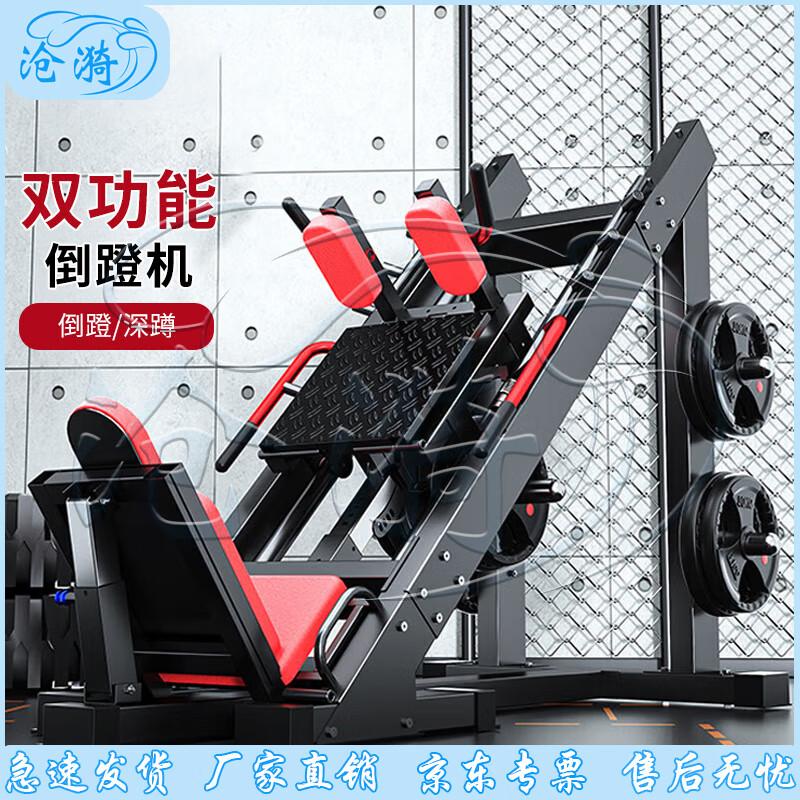 45-Degree Leg Press and Squat Machine