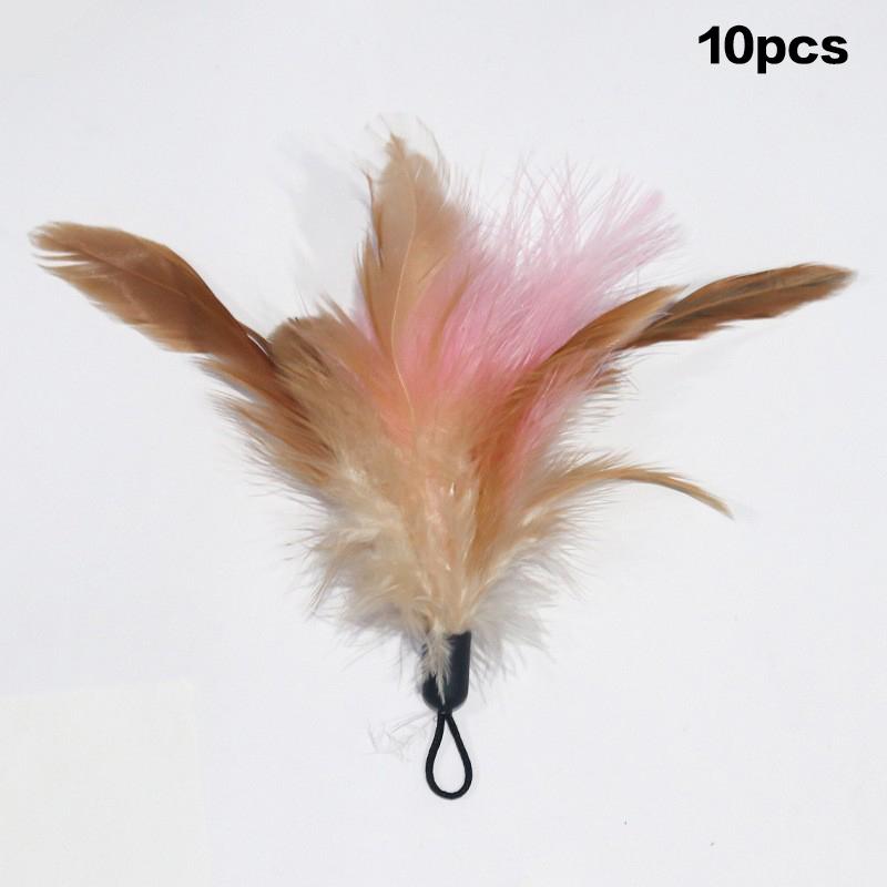 1/10Pcs Funny Simulation Feather Cat Toy Interactive Pet Cat Toy Kitten Playing Teaser Wand Toy Replacement Head Pet Supplies