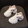 Thick-soled Transparent Mesh and Double-layer Mesh Heightening Dad Shoes 2025 New Casual Versatile Fashion Style Small Women's Shoes
