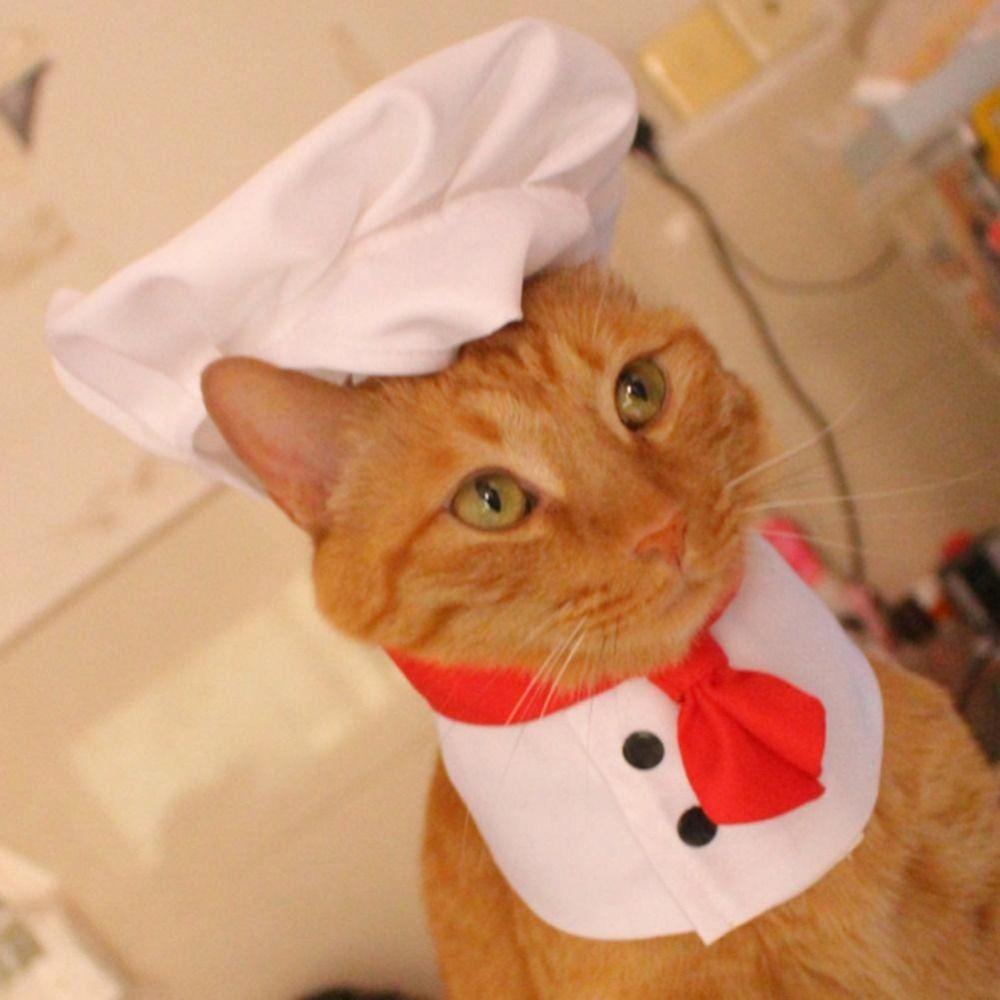 Polyester Cat Chef Hat Set Cosplay Props Cat Dog Transformation Dress Pet Cooking King Hat Pet