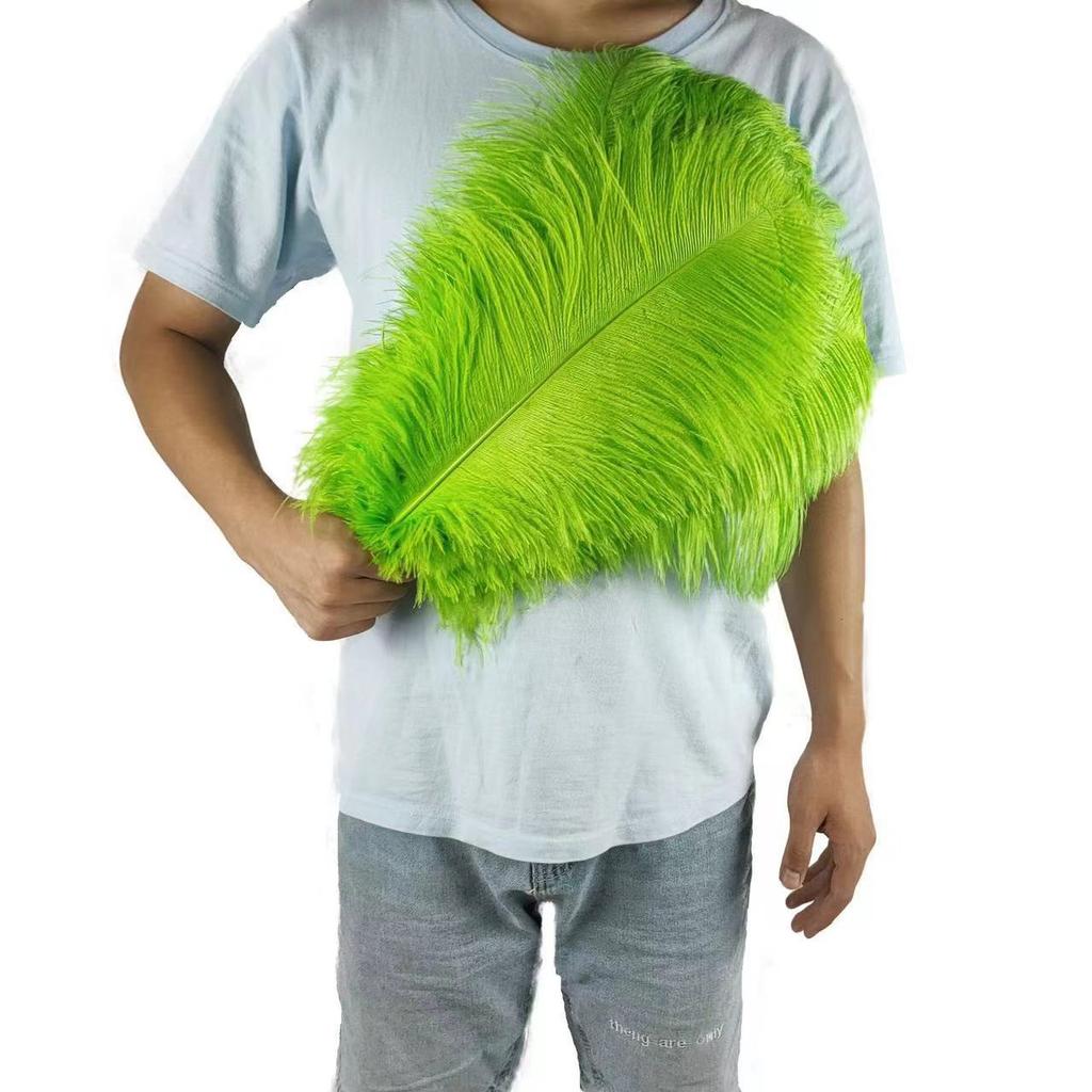 10PCS 45-50cm Colorful Big Feathers Ostrich Table Flower Table Flower Wedding Decoration Ostrich Feathers