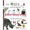 Детские книги Aixinshu для открытия природы и животных