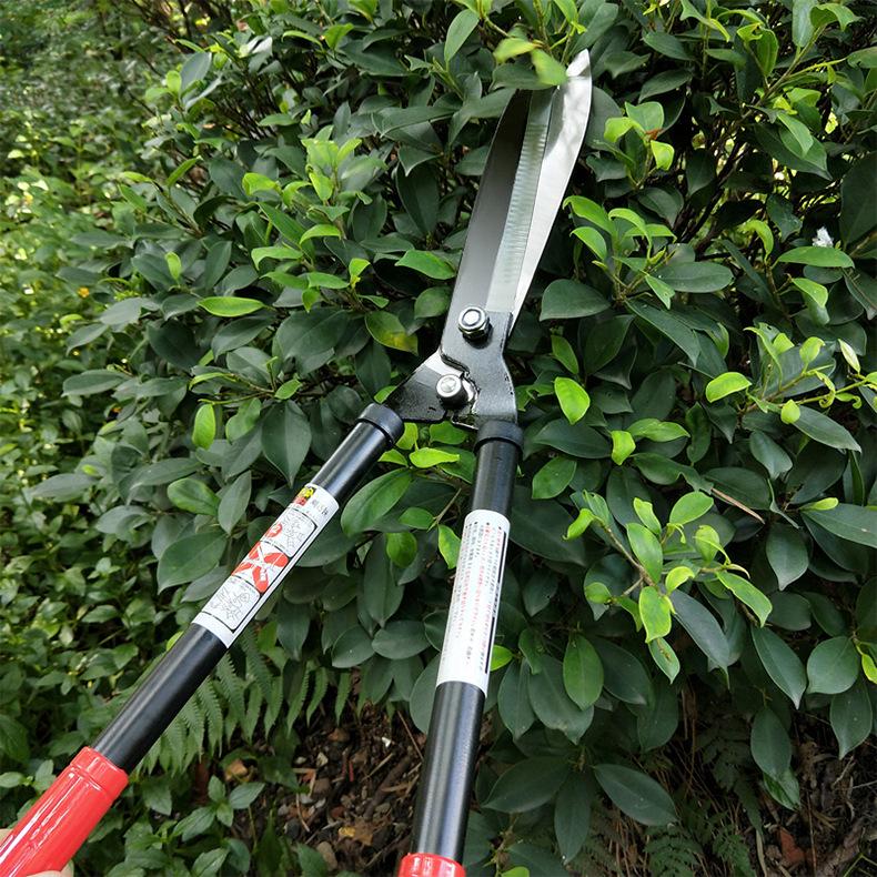 Telescopic Long-Handled Gardening Scissors: High Branch, Hedge & Lawn Trimmer with SK5 Blade