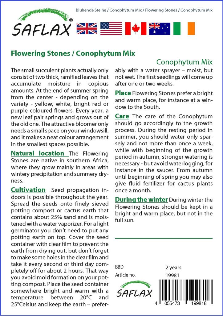 SAFLAX Garden in the Bag - Цветущие камни / Conophytum Mix - 40 семян - С субстратом в подходящем стоячем пакете - Conophytum Mix