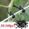 100/50Pcs Garden Plants Fixed Clips Buckles Tomato Vegetable Grafting Clips Grape Support Vine Clips Plastic Fixed Buckle Hooks