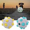 Wear Resistant Pet Toy Ball TPR Dog Training Toy Funny Dog Chew Toy  Relieve Boredom
