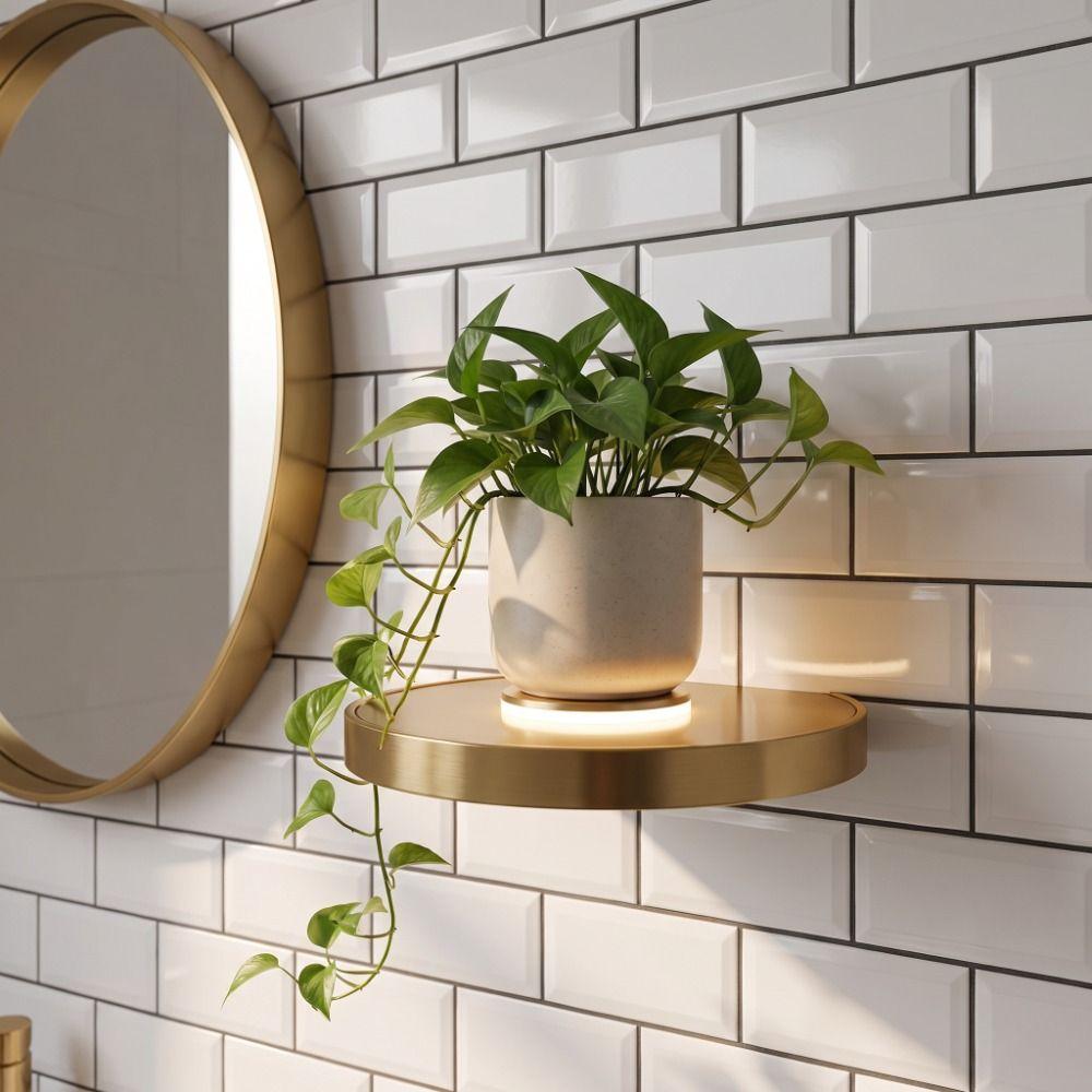 Invisible Bracket Floating Wall Shelf Wall Mounted Wall Mount Shelf Storage Shelf Display Storage