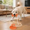 Bite-Resistant Dog Suction Cup Teeth Cleaning Durable Grinding Teeth Wear-Resistant Dog Teeth Grinding Rod Self Entertaining