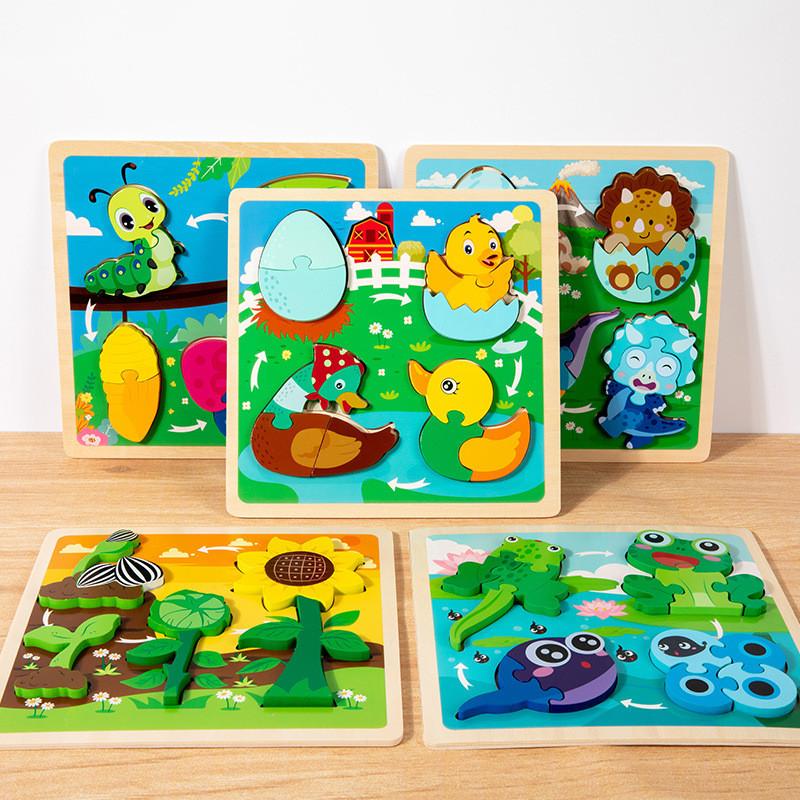 Life Animal Frog Cycle Jigsaw Puzzle Game For Kids Cognitive And Skills Shape