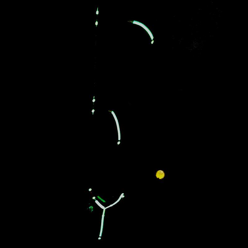 Baiguo String Hook Fishing Sub-Line Hook Device With Lead Drop Fishing