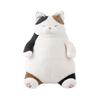 Livheart Body Pillow, Big Size, Cat Positivity, Calico Sanma (Total Length: Approx. 58cm), Cute Cat Plush Toy, Cat Merchandise, 27720-11