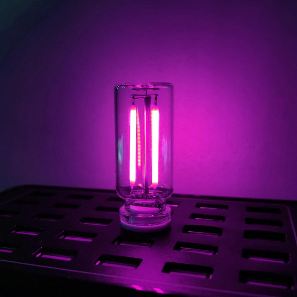 2Pcs Glass Material LED Filament Glass Bulb Eye Protection Retro Edison Bulb  Interior Decoration