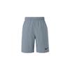 Повседневные шорты Dri Fit мужские серые CU4946-084