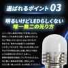 Takenous Truck Bastard Takemura Shokai S25 LED Single White Luminous Lucent Bulb Plus Bus