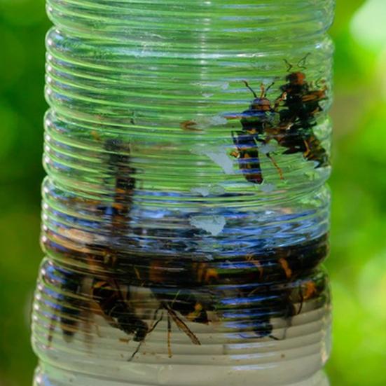 10/20 шт. инструмент-ловушка для ос для использования в помещении и на открытом воздухе, подвесная эффективная ловушка для насекомых-шершней для сада, дворика, патио