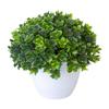Beautiful Artificial Bonsai Vivid Portable No-Watering