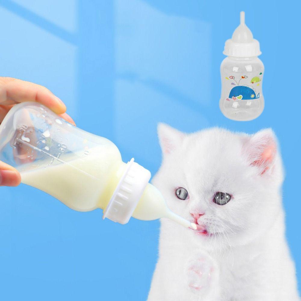 150 мл бутылочка-соска для котят, мультяшная бутылочка для кормления котят для новорожденных кошек и хомяков