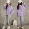 Girls Spring and Fall Sports Suit Long Sleeve Round Neck Sweatshirt + Sweatpants Two-piece Set