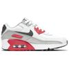 Nike Кроссовки Air Max 90 Leather Белые Хлорно-синие GS CD6864-108