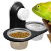 Reptile Food and Water Dish Gecko Feeding Cups Dispenser with 4 Cups Ledge Accessories Tray for Tarantula Frog Lizard Chameleons