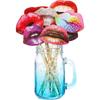 20pcs/Set Funny Lip Mouth DIY Photobooth Props Bachelorette Party Hen Party Bridal Shower Wedding Decortation DIY Photo Booth