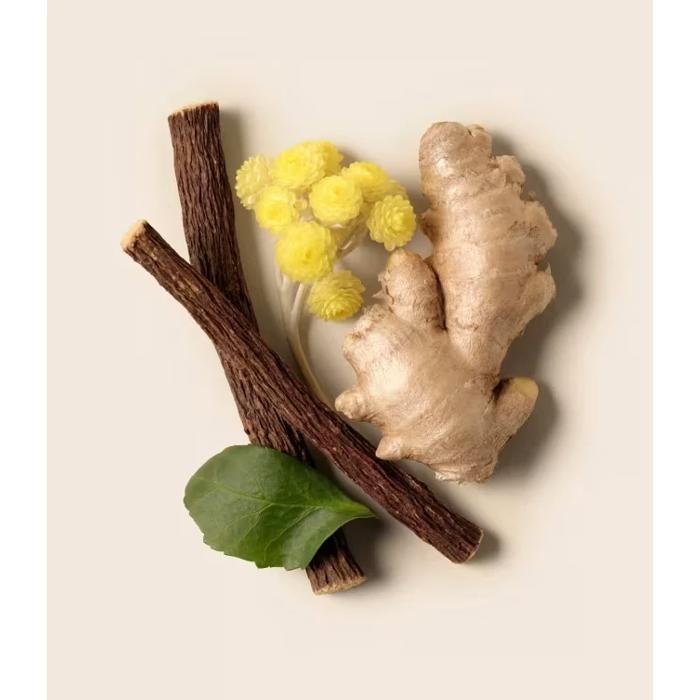 Sérum contour des yeux - AROMA-ZONE - Contour des Yeux Anti-Âge Global BIO - Anti-poches - Anti-cernes - Hydratant 15 ml
