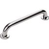 TRUSCO Safety Bar Stainless Finish X P600 X H75 Steel/Mirror 25 TSB-25-600K