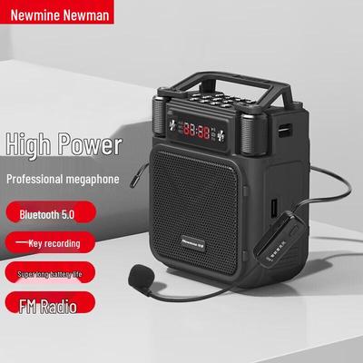 Беспроводной портативный усилитель Newmine MS19 с микрофоном-гарнитурой, штекер CN (адаптер в комплекте)