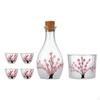Glass Sake Set for Cold,Warm,Warm,Japanese Carafe Bottle,1 Tank and 4