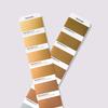 Pantone Металлический цветовой гид GG1507C