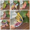 Sweet Acetic Acid Hair Claw Korean Style French Shark Clip Butterfly Acetate Hair Claw  Girls