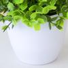 Faux Bonsai Energetic for Balcony Aesthetic Fake Grass Plants Pot Ornament Fancy Long-lasting Aesthetic