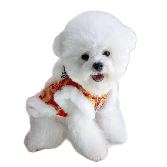 Собачья одежда со львом на Новый год по китайскому календарю, костюм для питомца, вышитая собачья толстовка, теплая зимняя одежда для маленьких собак и кошек, одежда для Праздника Весны