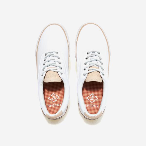 Sperry Striper II CVO Seacycle-STS25141